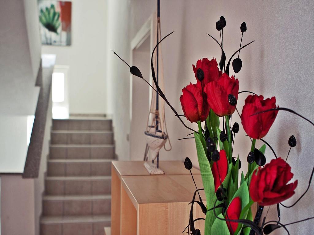 Apartments Paklenica สตารีกราด-ปาเคลนีซา ภายนอก รูปภาพ